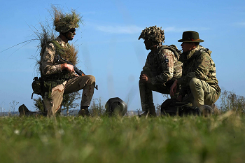 Из цитируемого источника