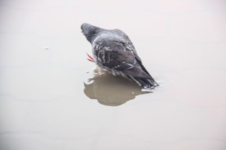 Фото: ТУТ НЬЮС