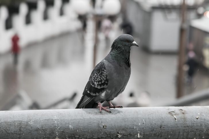 Фото: ТУТ НЬЮС