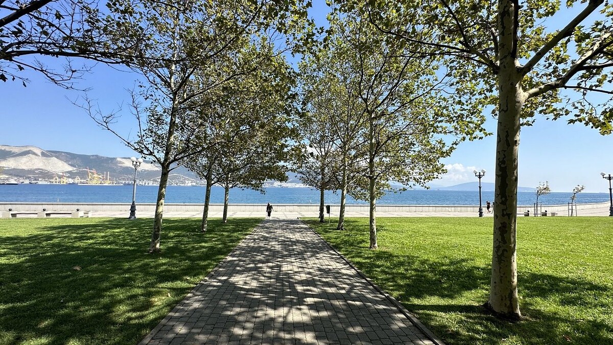    Фото: телеканал «Краснодар»