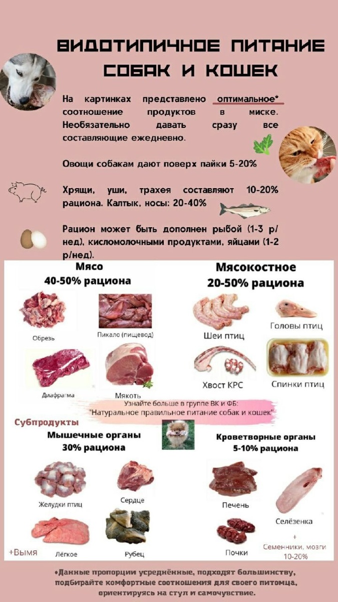 Таблица из группы вк " Видотипичное питание" , возможно кому то пригодится, очень много там полезной информации. 