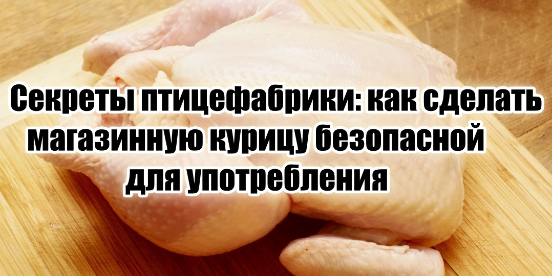 Теща, всю жизнь проработавшая на птицеферме, рассказала, как нейтрализовать химию в магазинных курах
