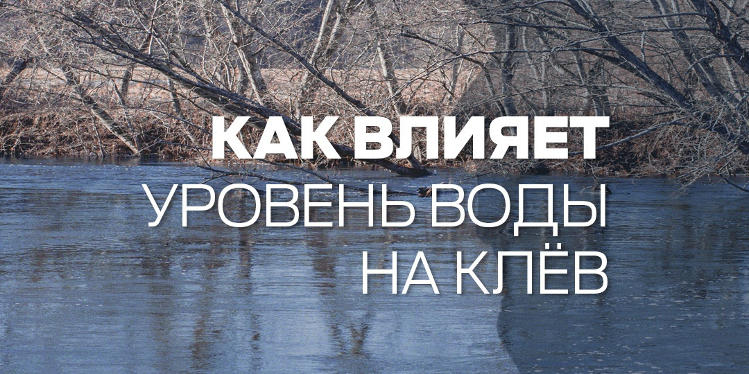 Как уровень воды влияет на клев