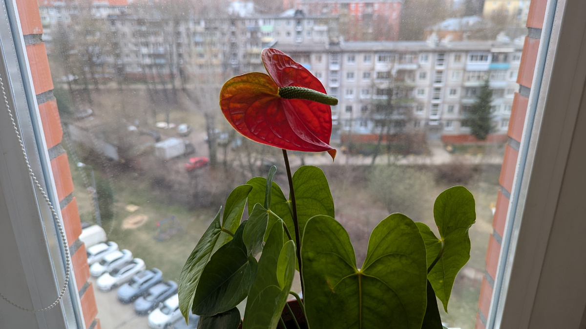 Раннее утро