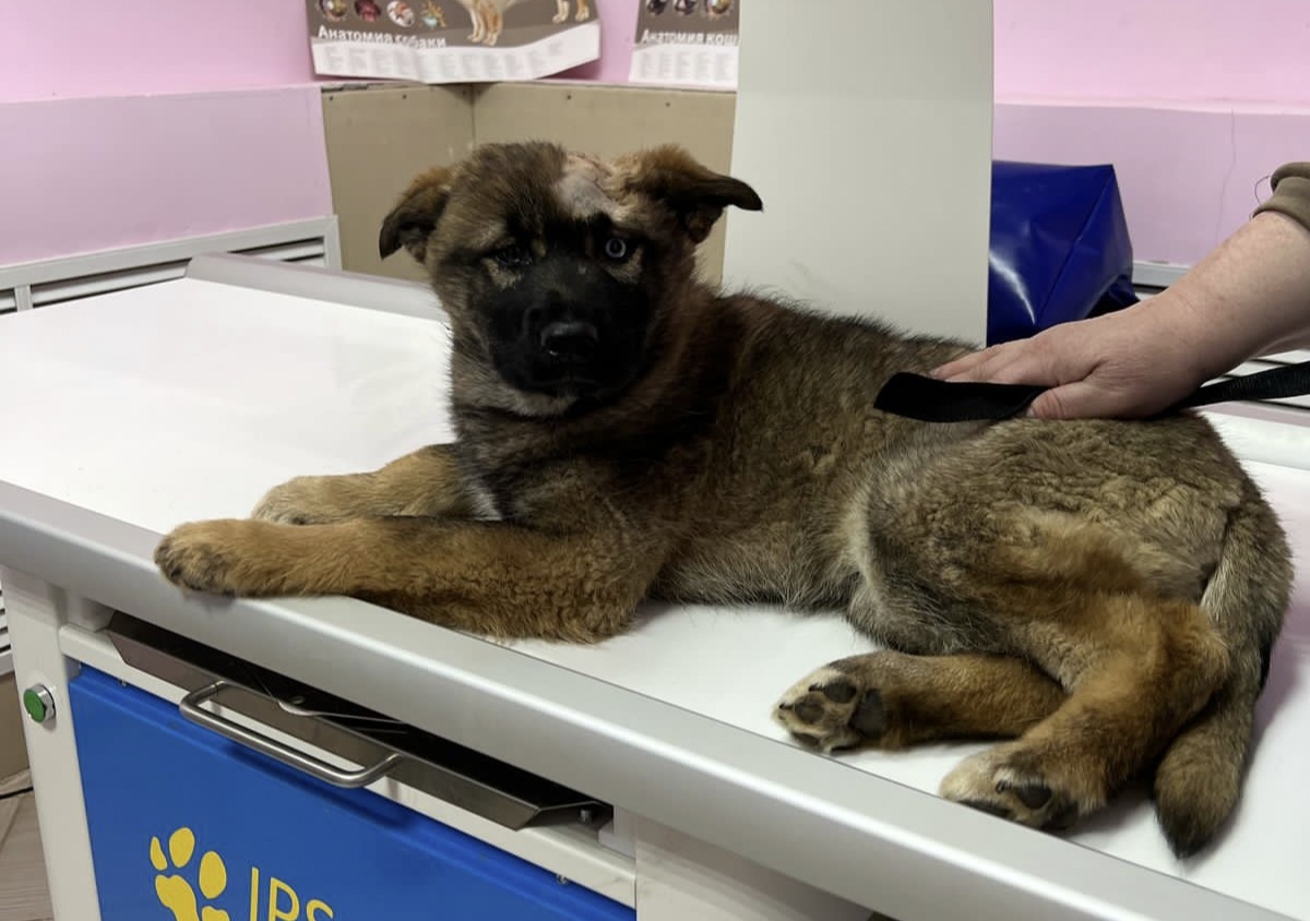 В клинике доктора Ласкиной на обследование.