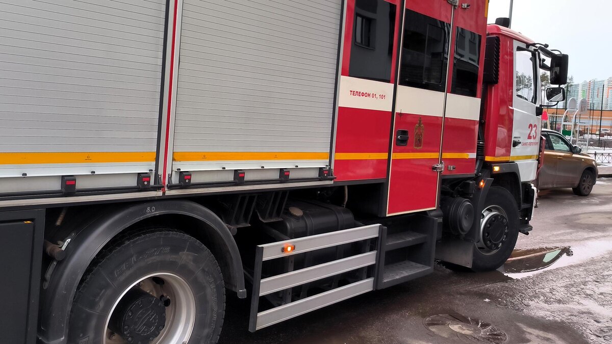    Фото: Maksim Konstantinov/globallookpress.com