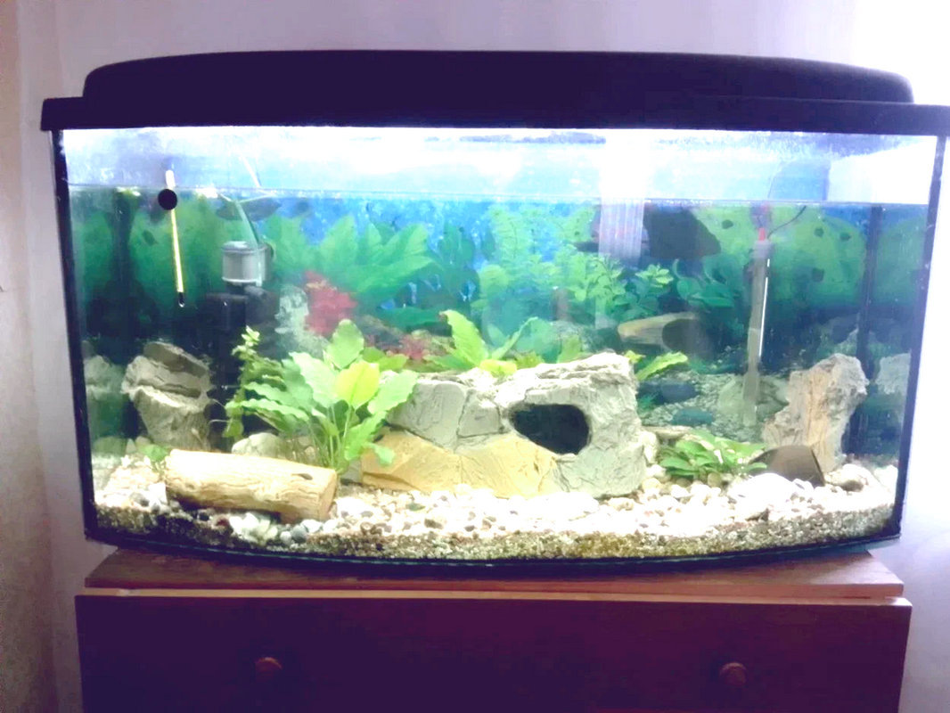 Мой панорамный на 150 литров.