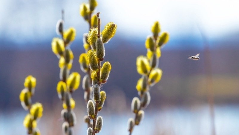 Фото: @user19739995 / freepik.com
