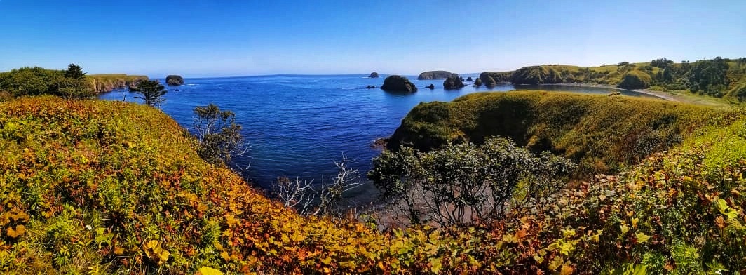 Фото из личного архива 