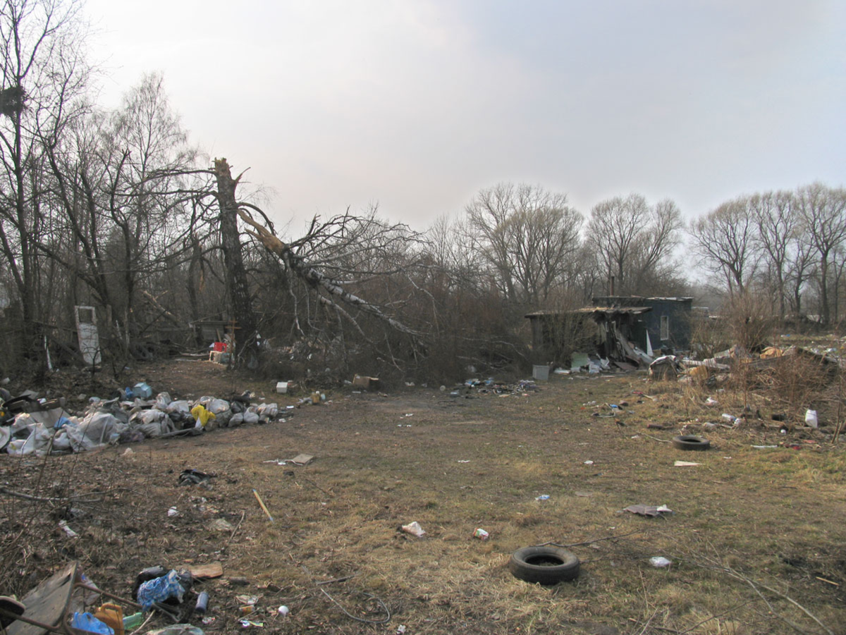 Фото в свободном доступе