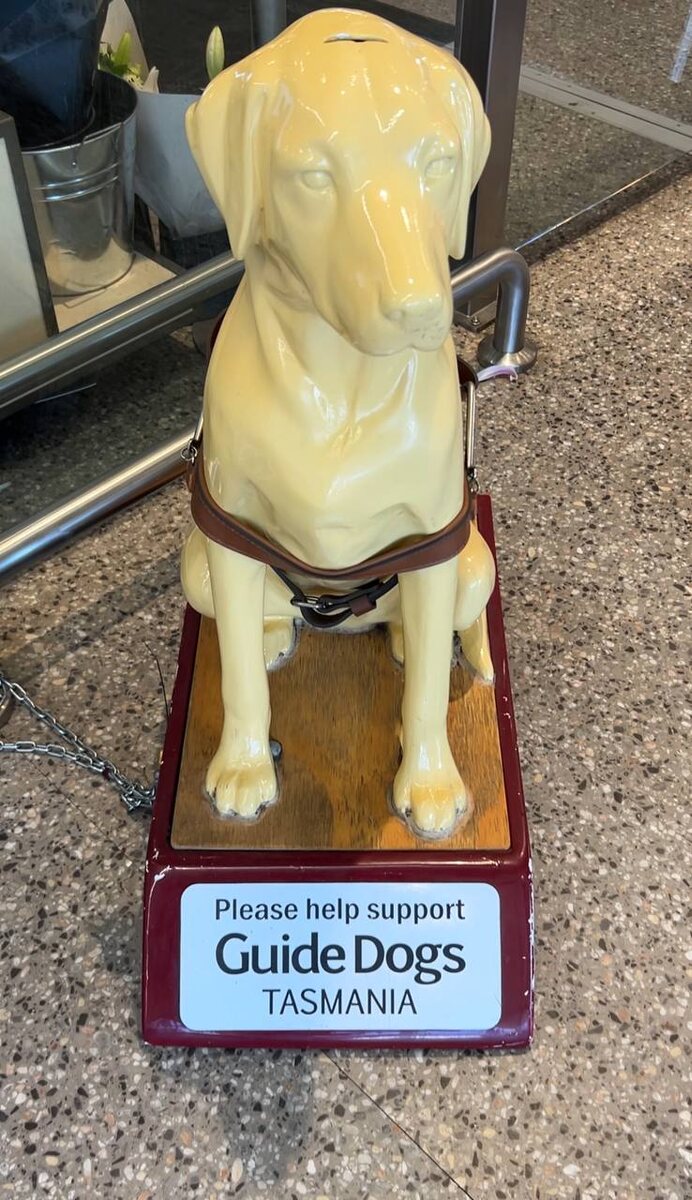 LAUNCESTON. Tasmania. 21 января 2025 года.