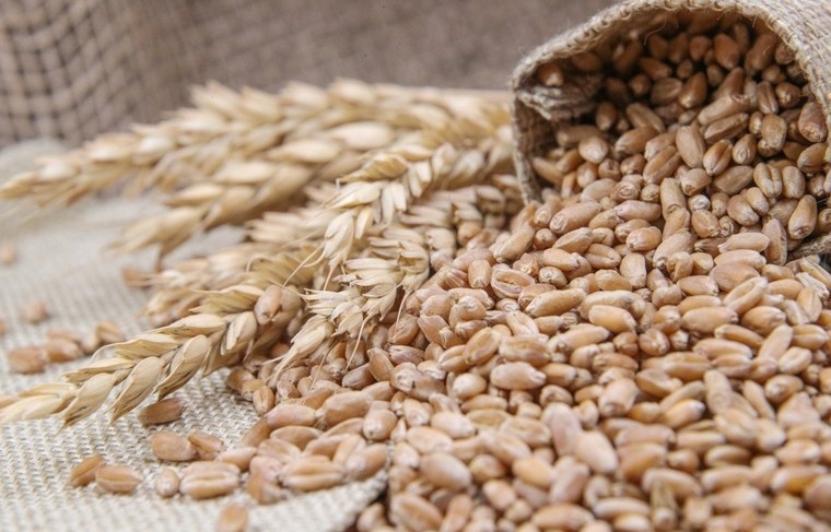    Сергей Булкин/NEWS.ru