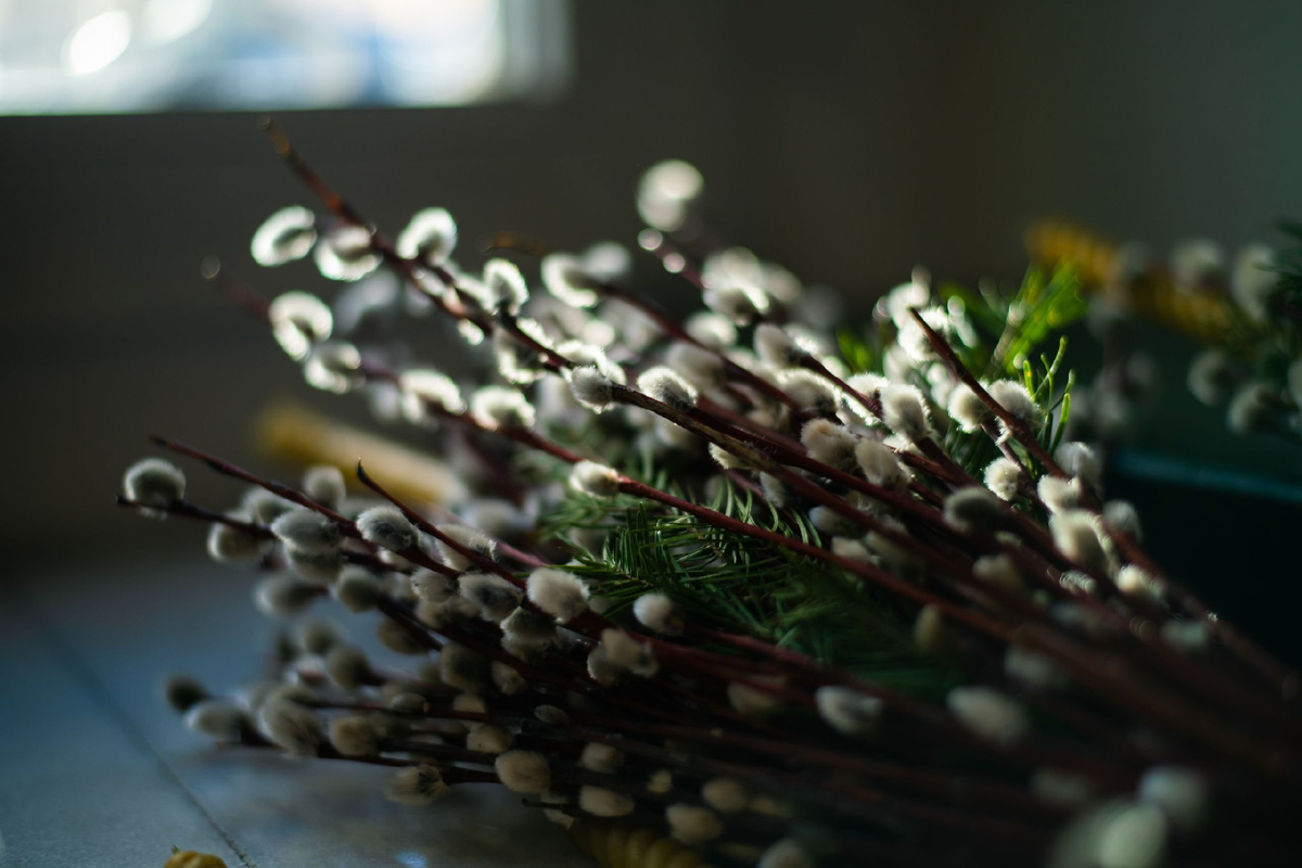 Правообладатель фото: Яндекс Картинки