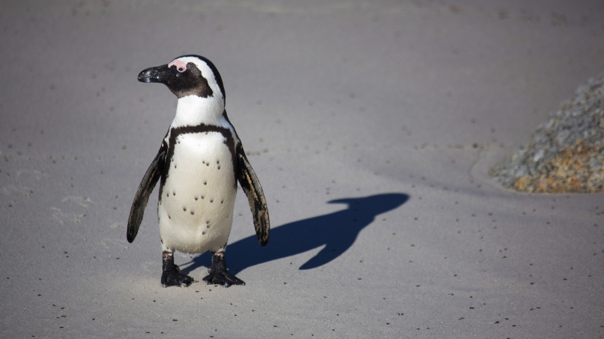    Фото: © РИА Новости/Андрей Максимов