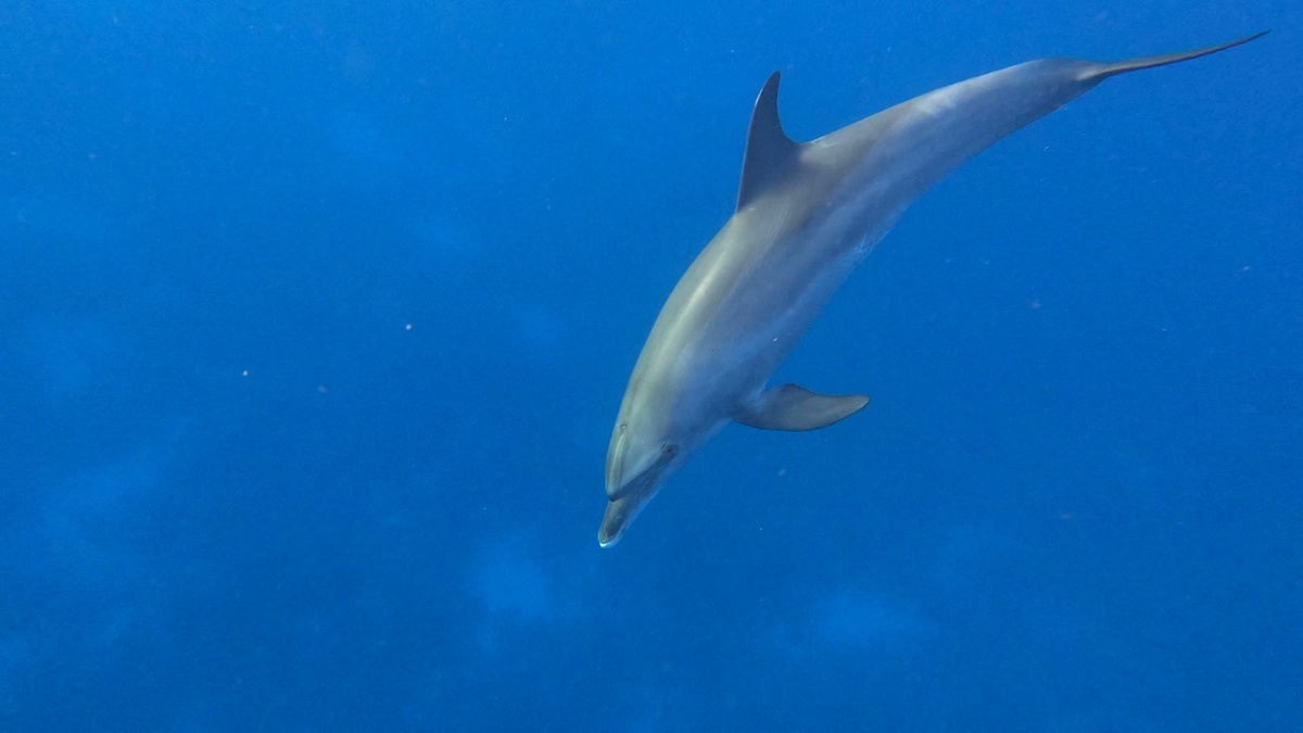 Фото от Большого