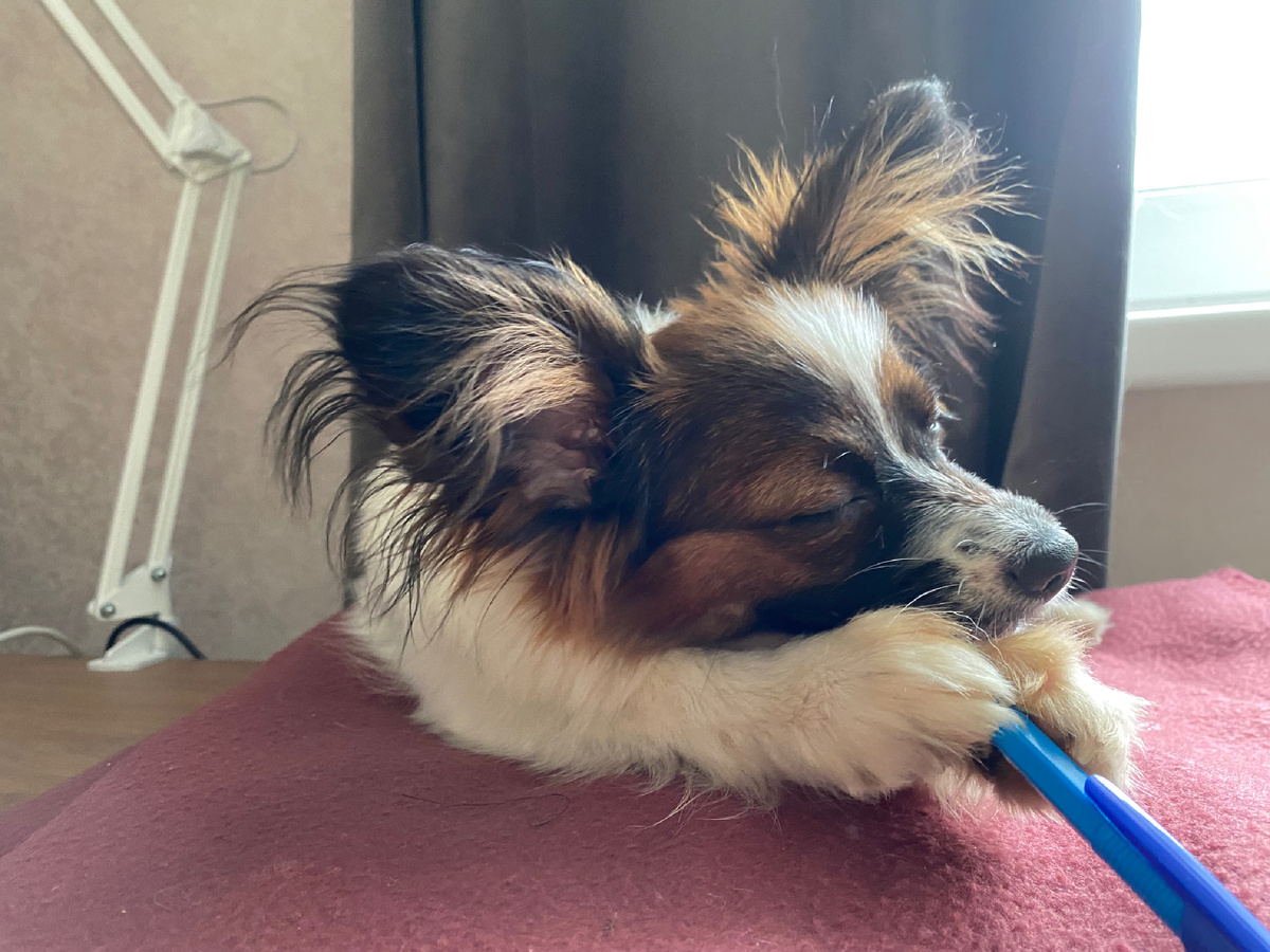 Помогаю мамичке работать)