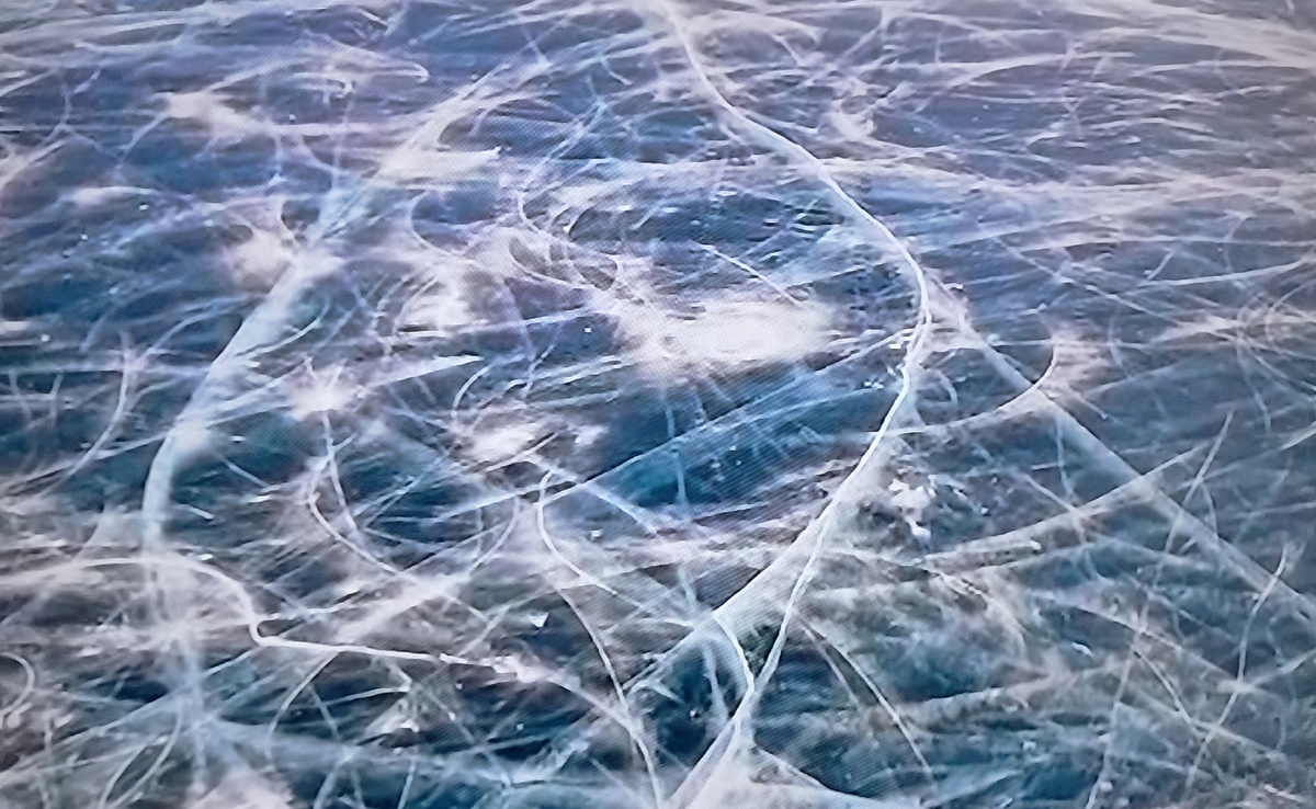 Фото с экрана телевизора.