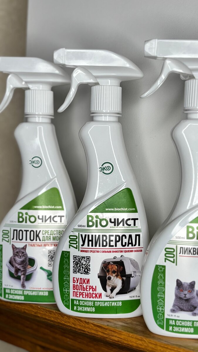 Ваш лучший помощник!