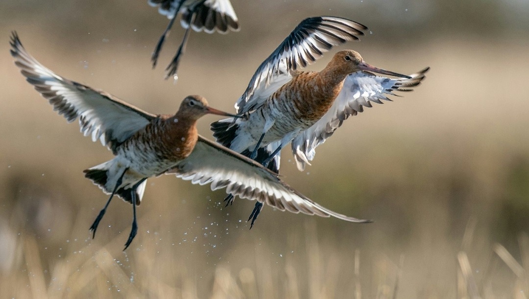 Источник: https://unsplash.com/ 