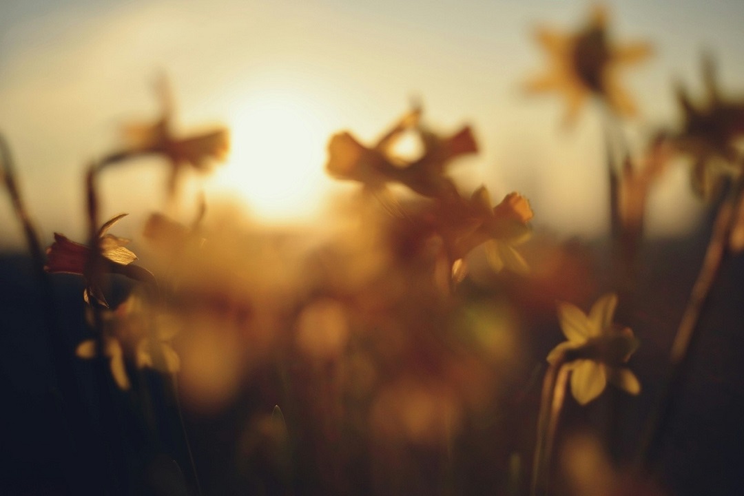 Источник: https://unsplash.com/ 