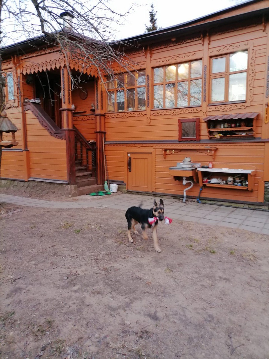 Чарли в новом доме