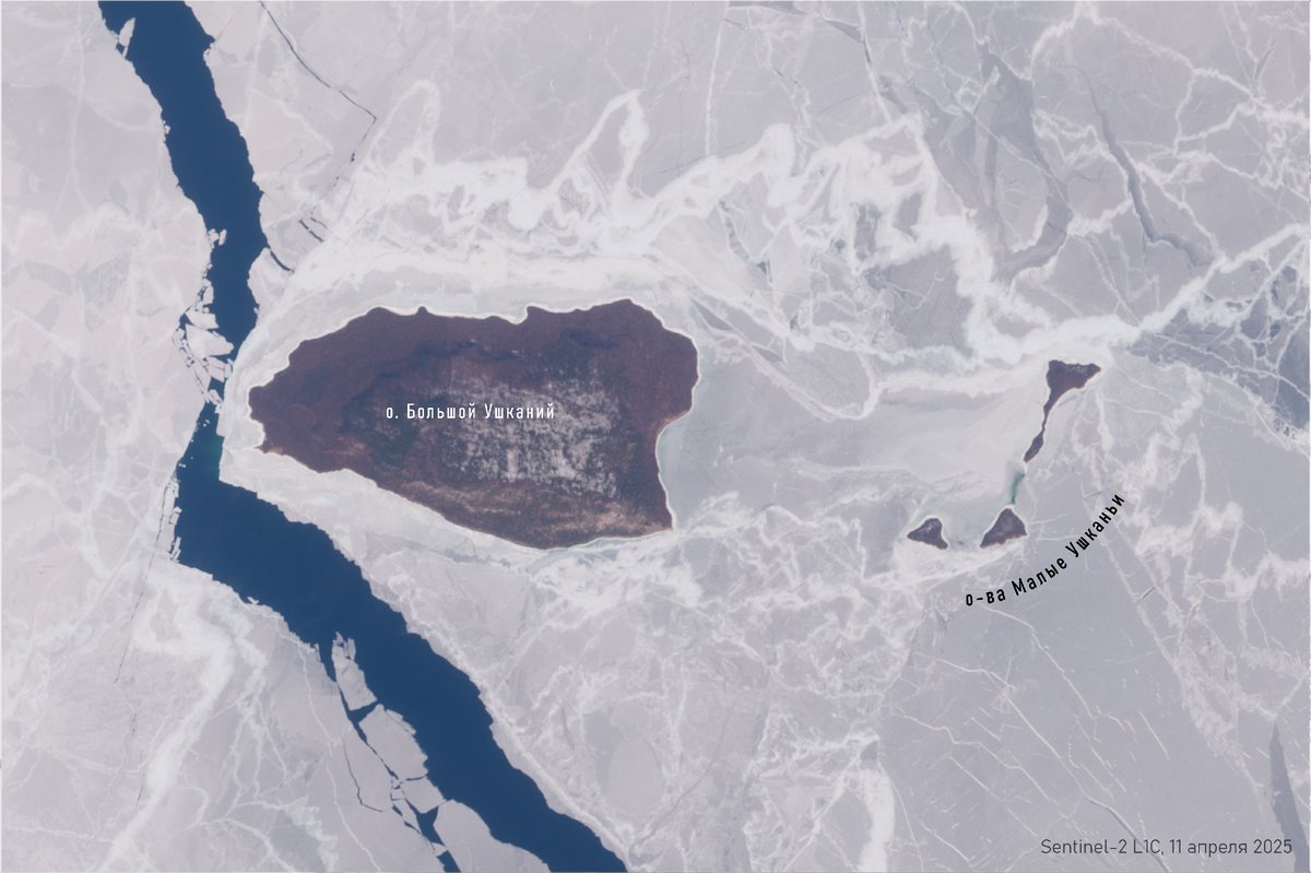 Листайте галерею, чтобы увидеть все фото