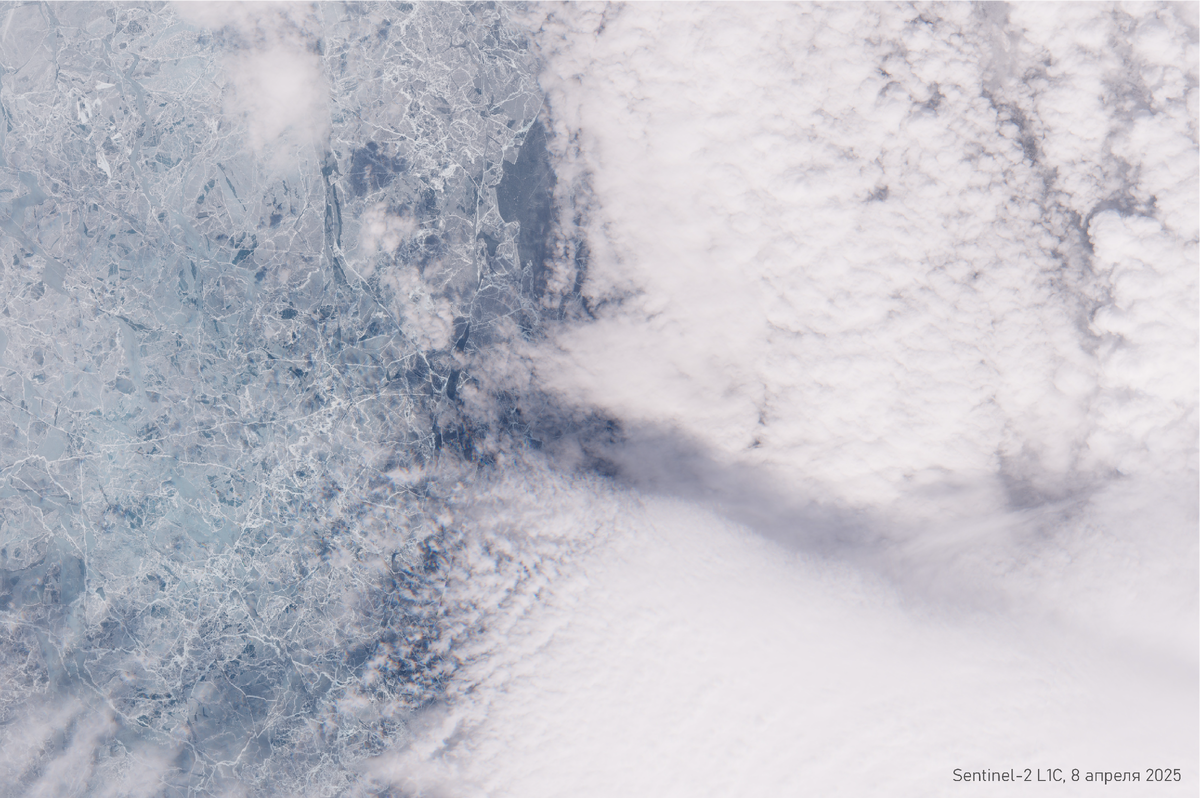 Листайте галерею, чтобы увидеть фото Баргузинского заповедника с нового спутникового радара