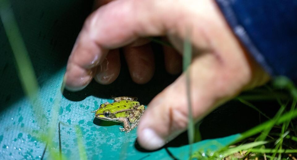    Pia Bayer/dpa / www.globallookpress.com