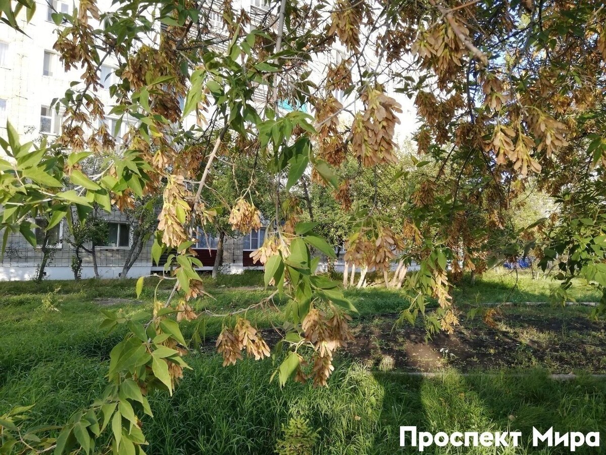     Источник: prmira.ru