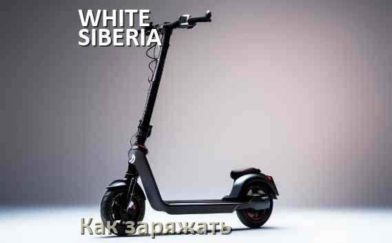 
Как заряжать электросамокат WHITE SIBERIA правильно и сколько времени заряжается