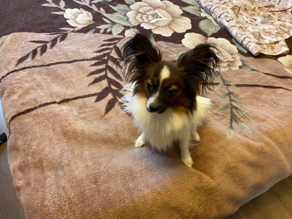 Главное, не на кровать!!!))