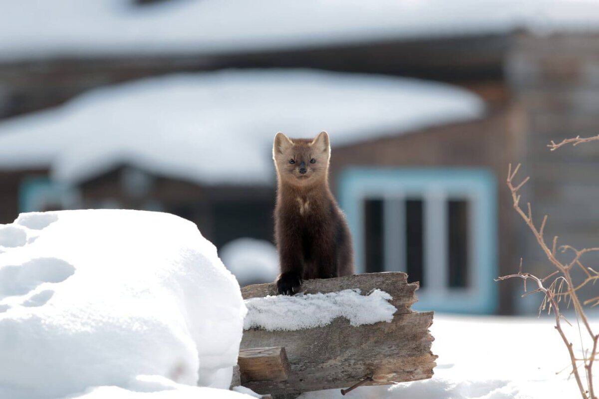 Здесь и далее в материале использованы фото авторов канала ☝🏻
