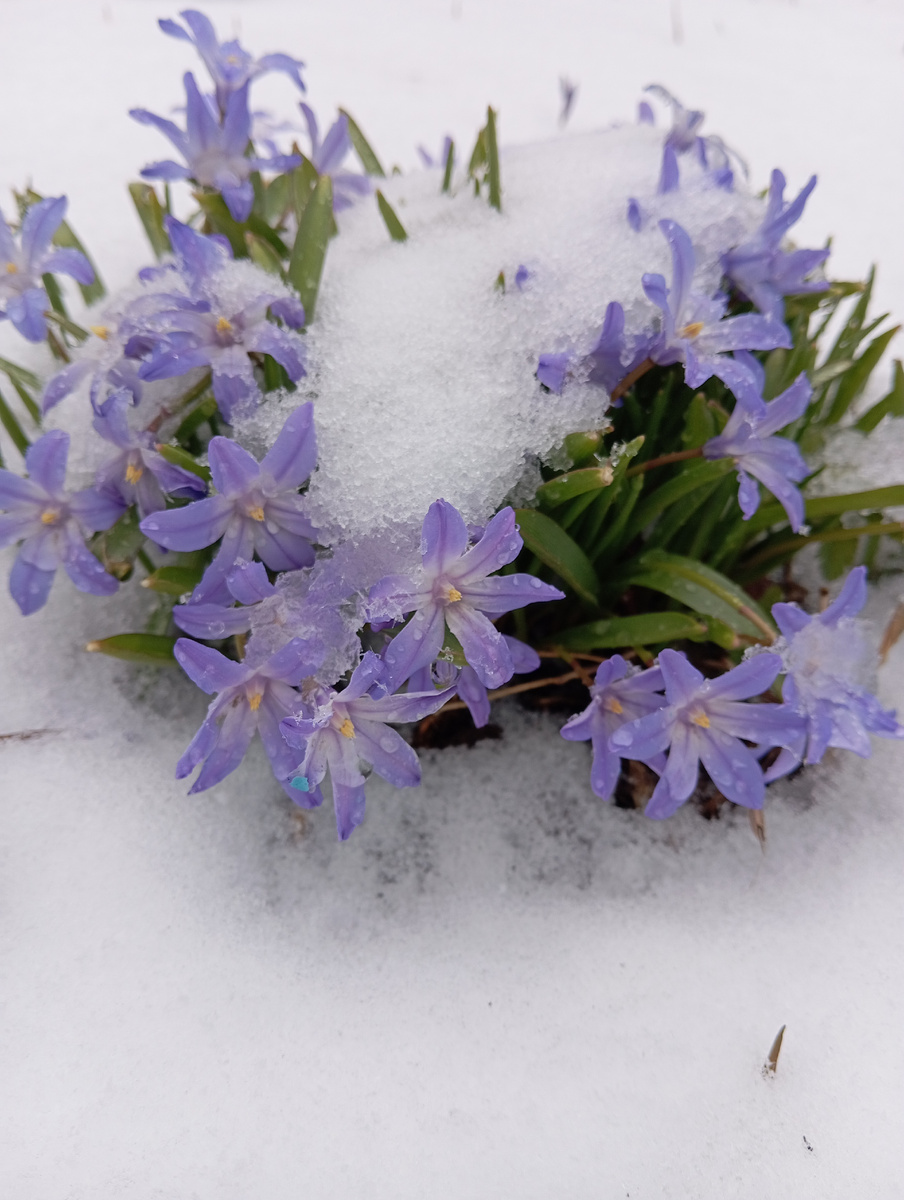 Вспомню, напишу название. 