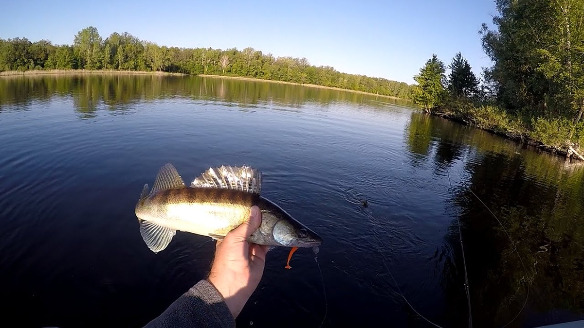 Ловля рыбы на безлюдных озёрах: полное руководство по подготовке