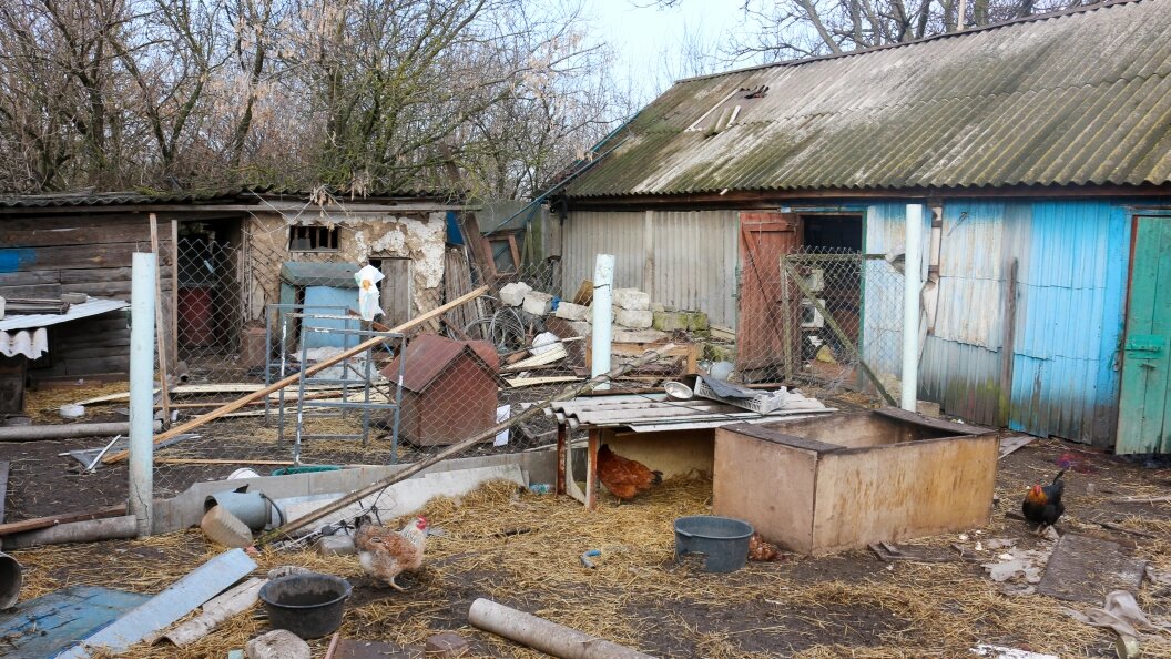    Фото: Konopatov Yuri/Globallookpress