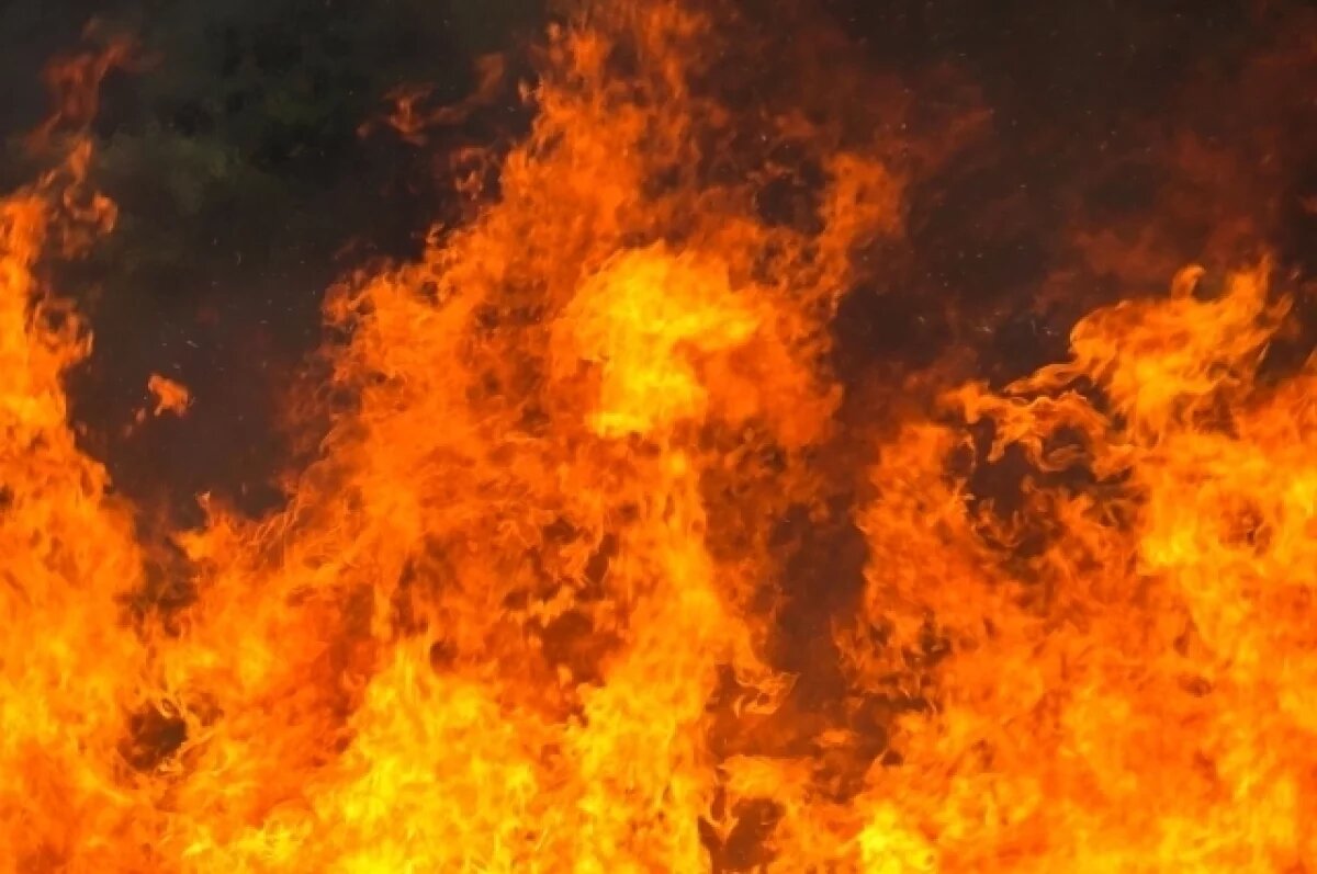    Почти сотню пожаров потушили пожарные Алтайского края всего за сутки