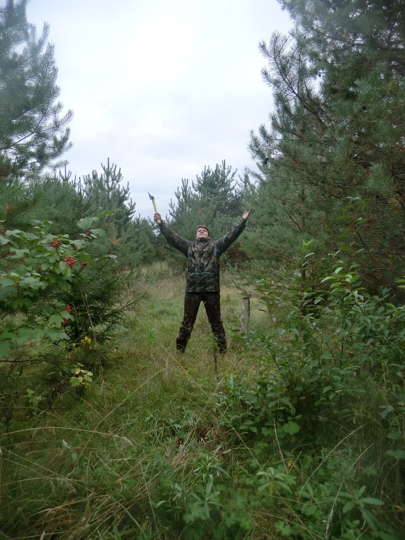 Здесь будет домик! Когда-нибудь...(фото 2017г)