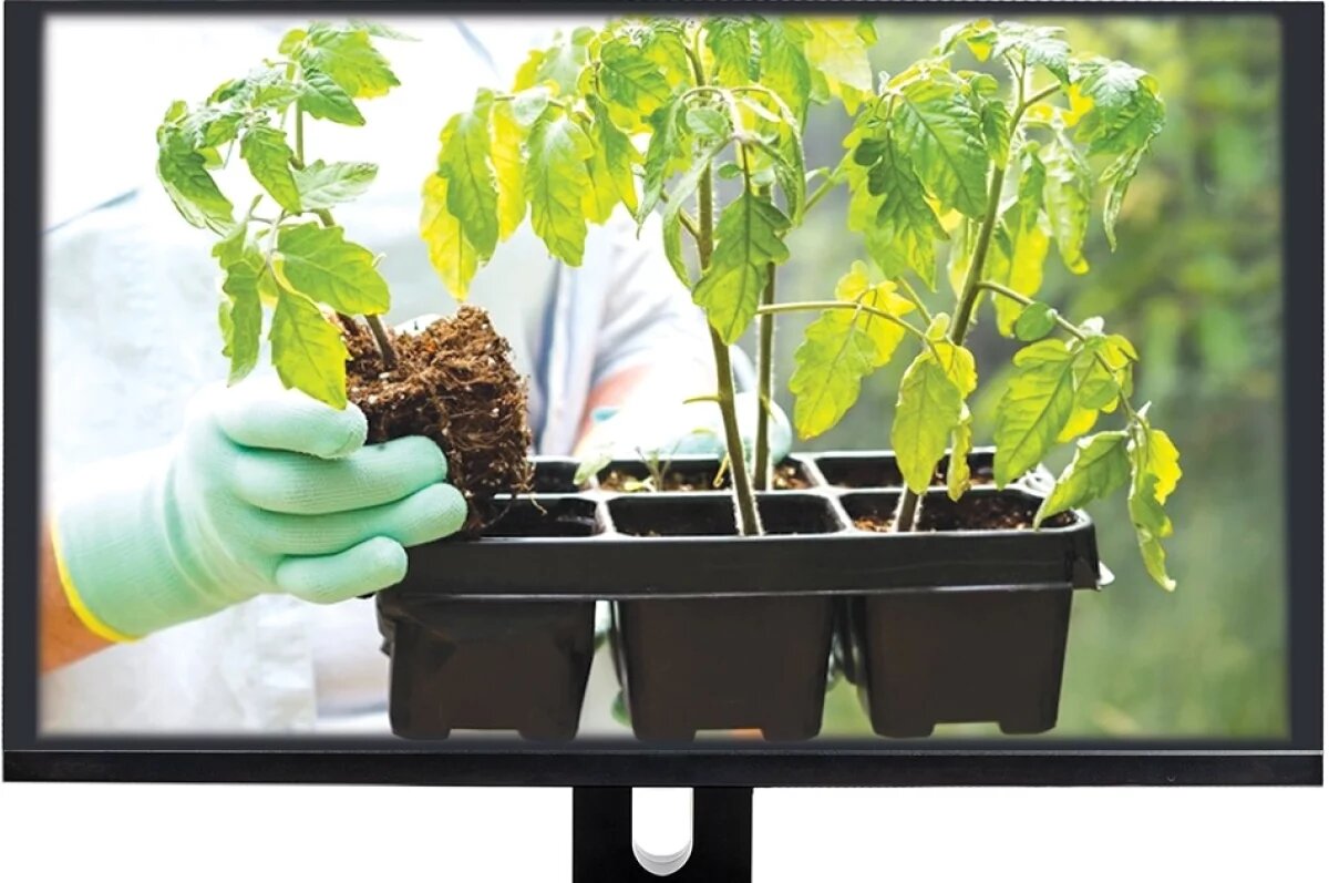    Прежде чем следовать советам из Сети, вспомните, что все мы проживаем как минимум в разных климатических зонах.