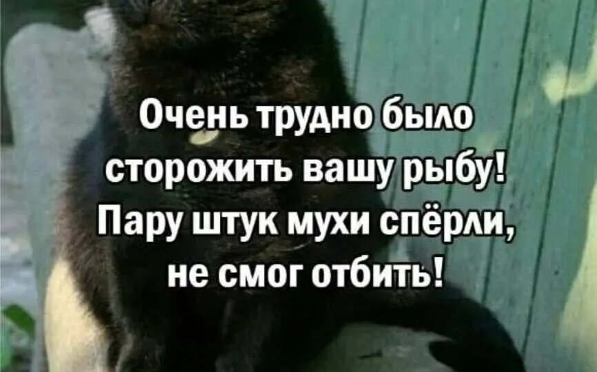 Ищут мотивацию для повышения рождаемости: про налоги, пенсию и долгосрочные вклады
