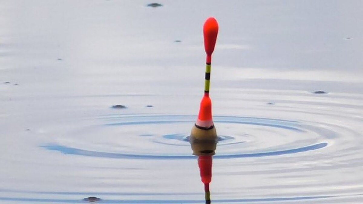 рыбак не видит рыбу, но знает о ней