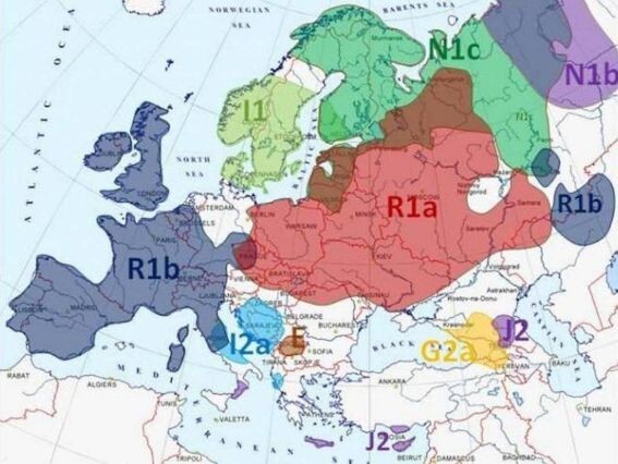 На этой картк показан центр расселенияариев по всему миру
