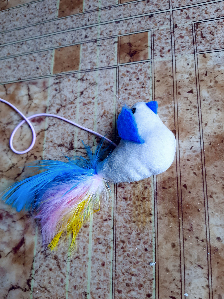 Эх! Покотóсил и бросил! 