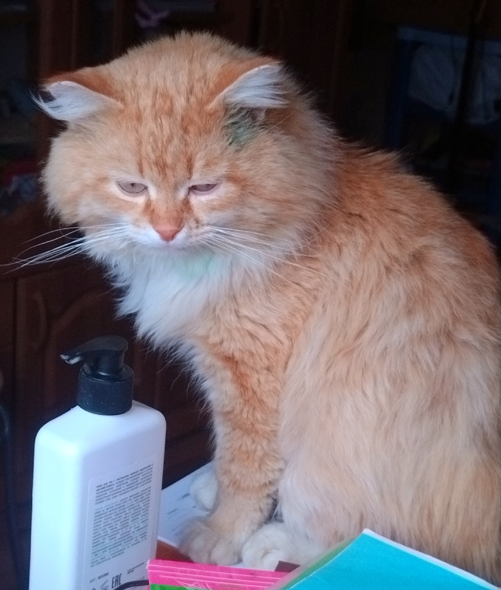 Чёт приуныл ))