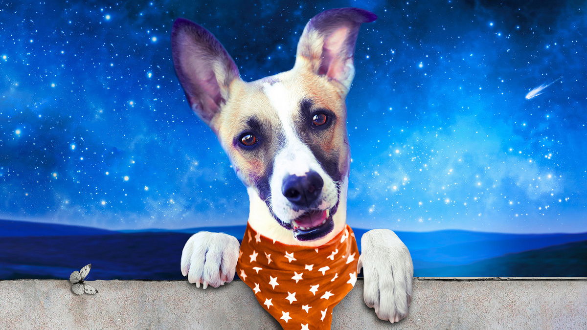 кадр из фильма