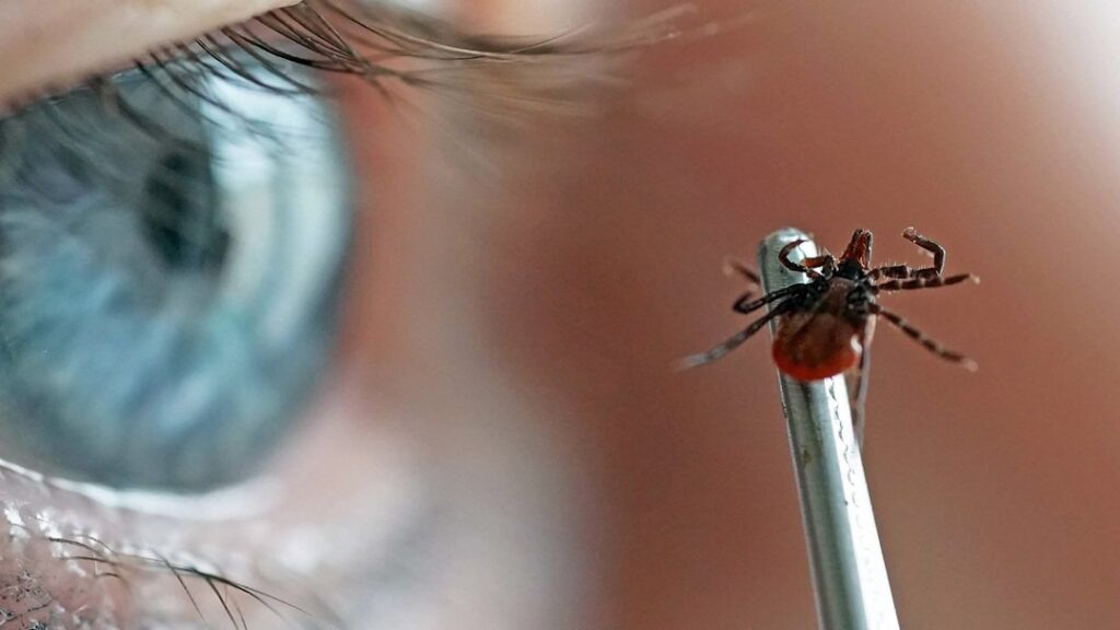    Фотография Роспотребнадзор по Новосибирской области