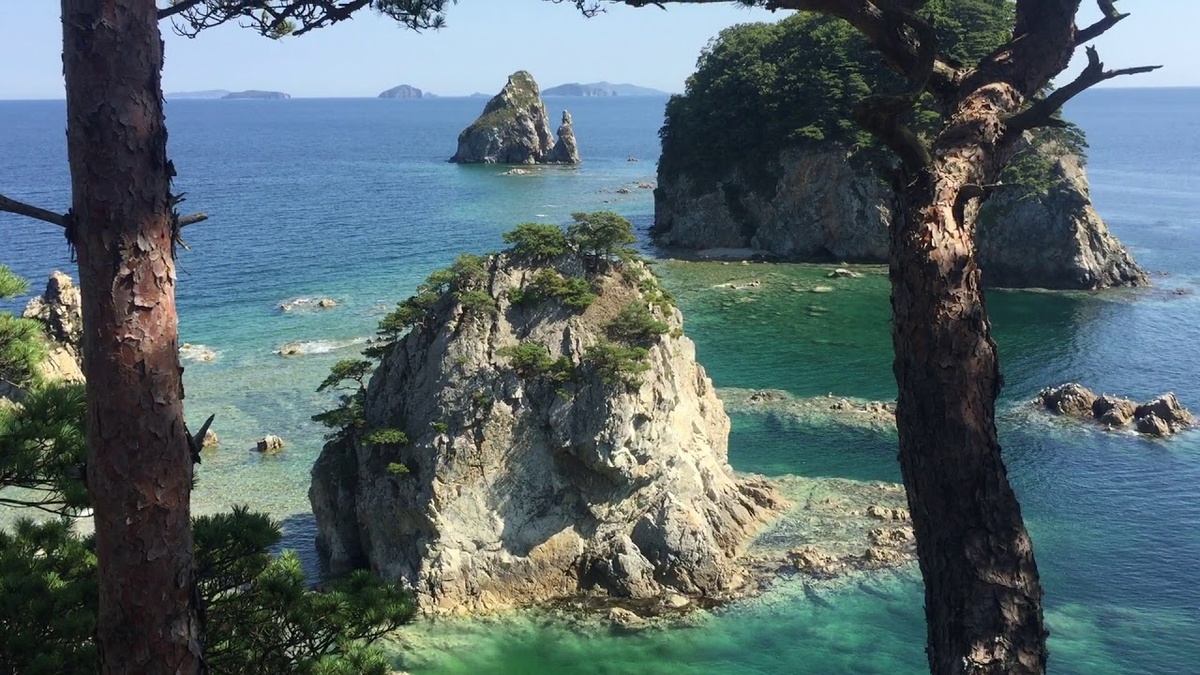 Мыс сосновый. Дальневосточное Приморье.