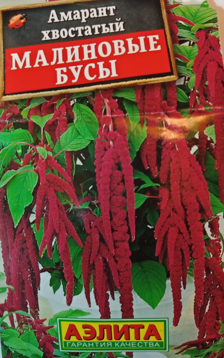 будущие однолетники