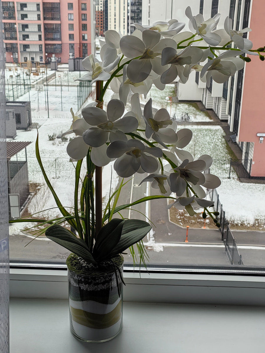 Санкт-Петербург. Вид из окна. 12.04.2025 г. 