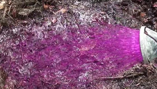 Обеззараживаю почву.