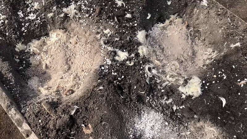 Добавляю золу.